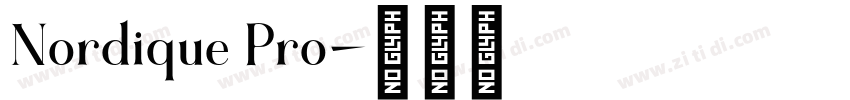Nordique Pro字体转换